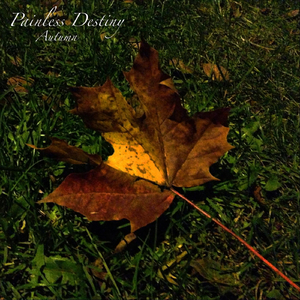 男人添女人下部高潮全视频
